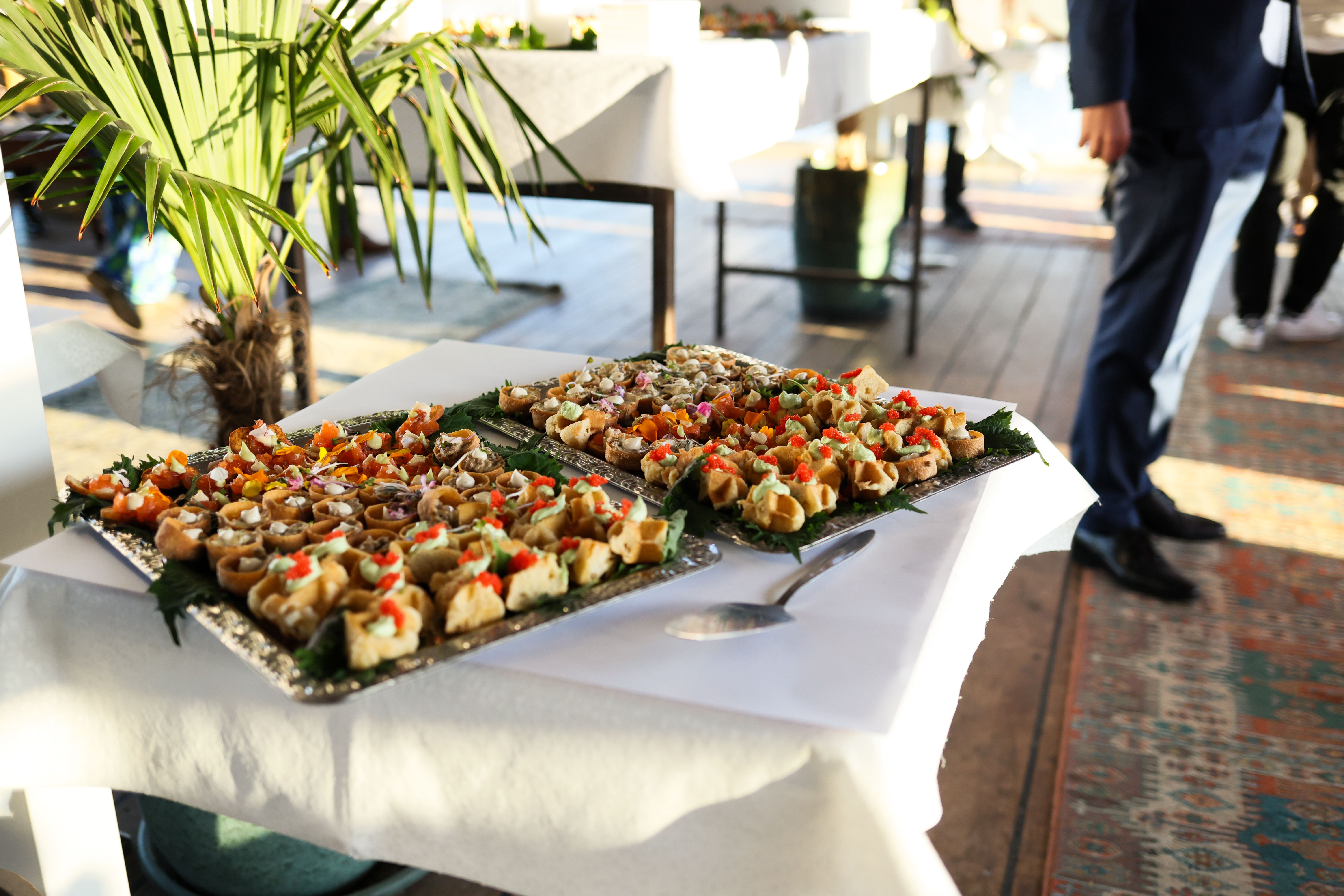 A generous catering spread of assorted Dominican dishes